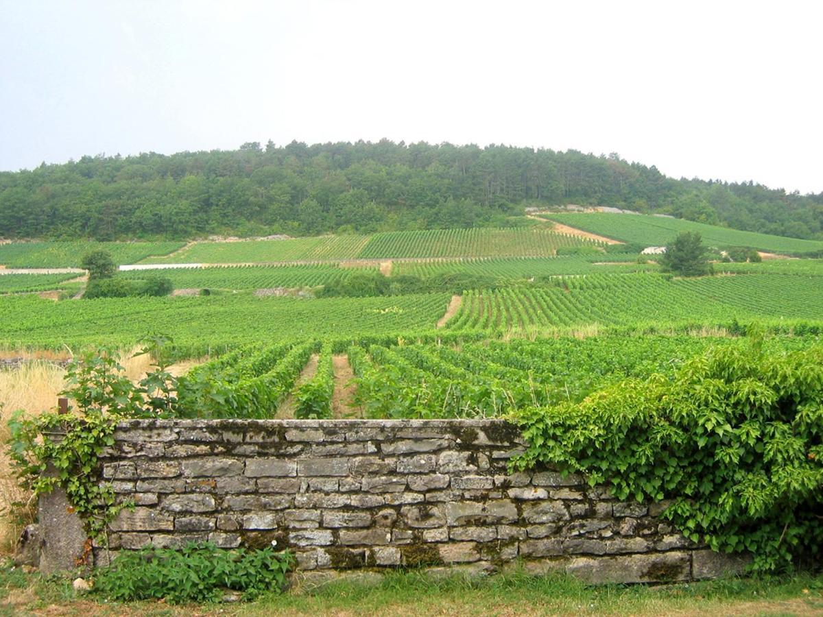 Le Richebourg - Charmant T2 Cosy, Tout Confort Gevrey-Chambertin Exterior foto