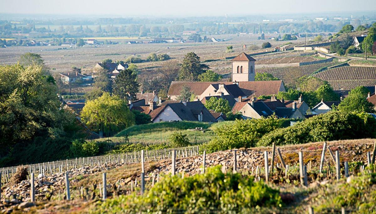 Le Richebourg - Charmant T2 Cosy, Tout Confort Gevrey-Chambertin Exterior foto